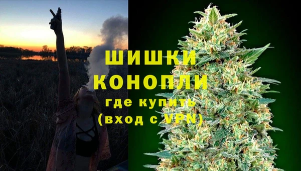 дурь Осинники