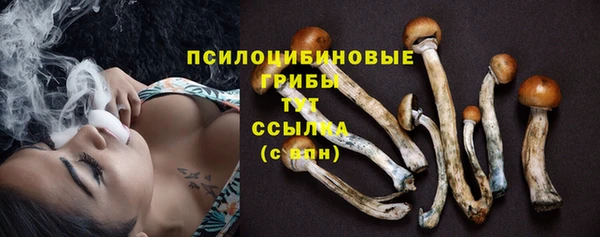 mdma Осташков
