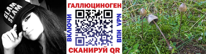 дарнет шоп  Фокино  Галлюциногенные грибы GOLDEN TEACHER 